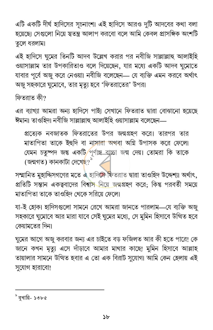 পাতা 13