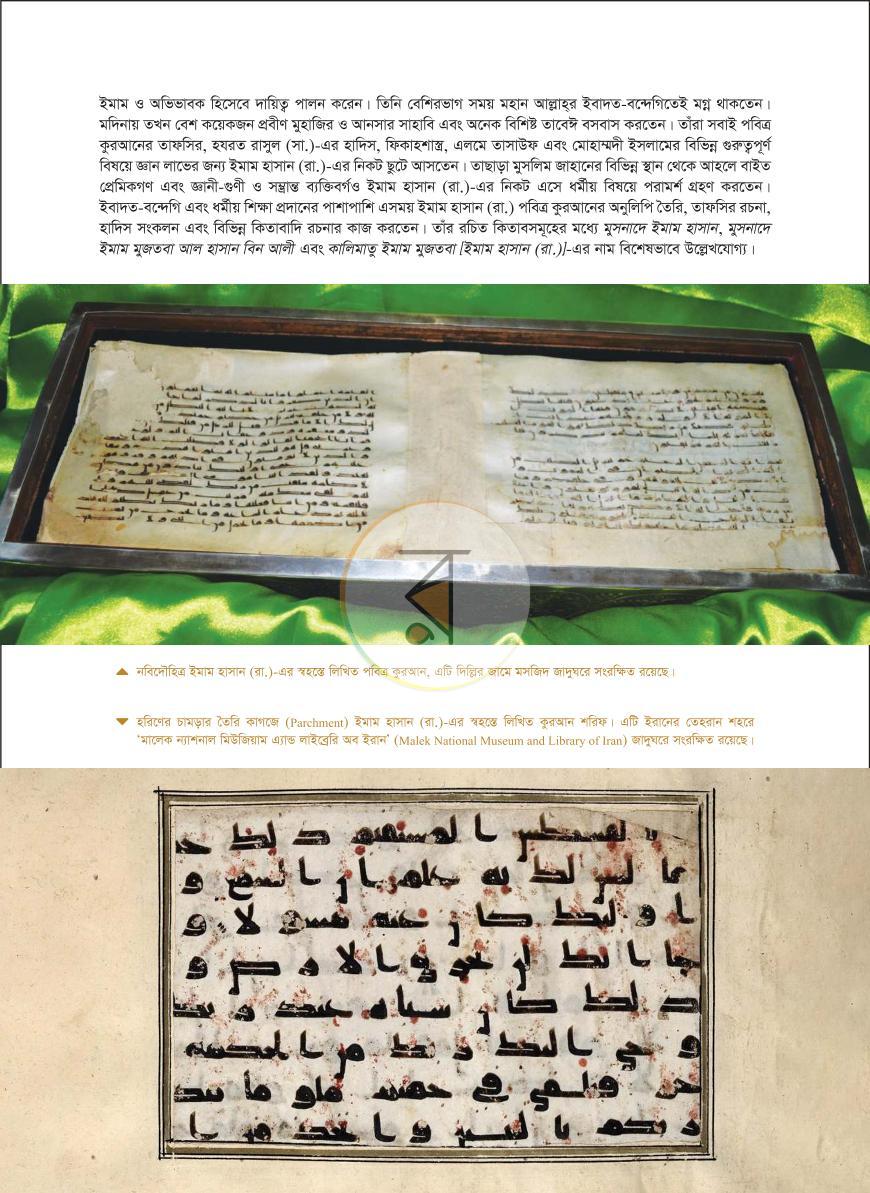 পাতা 24