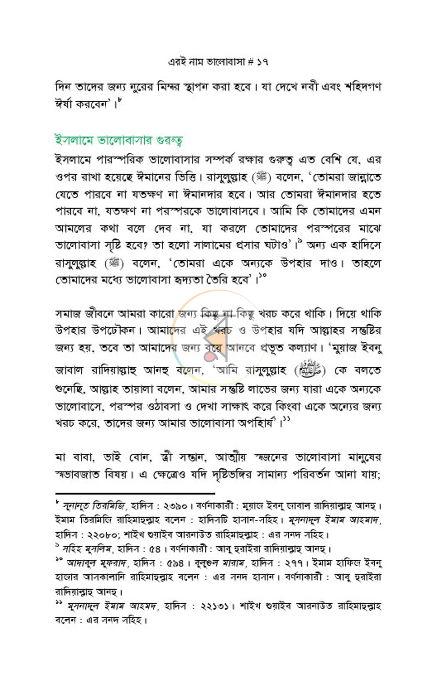 পাতা 13