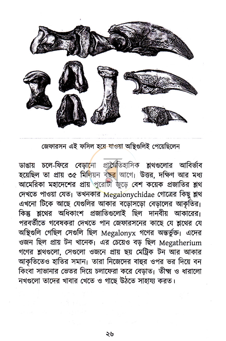 পাতা 11