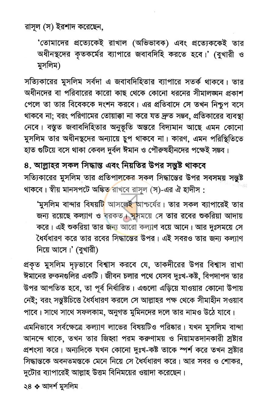 পাতা 11