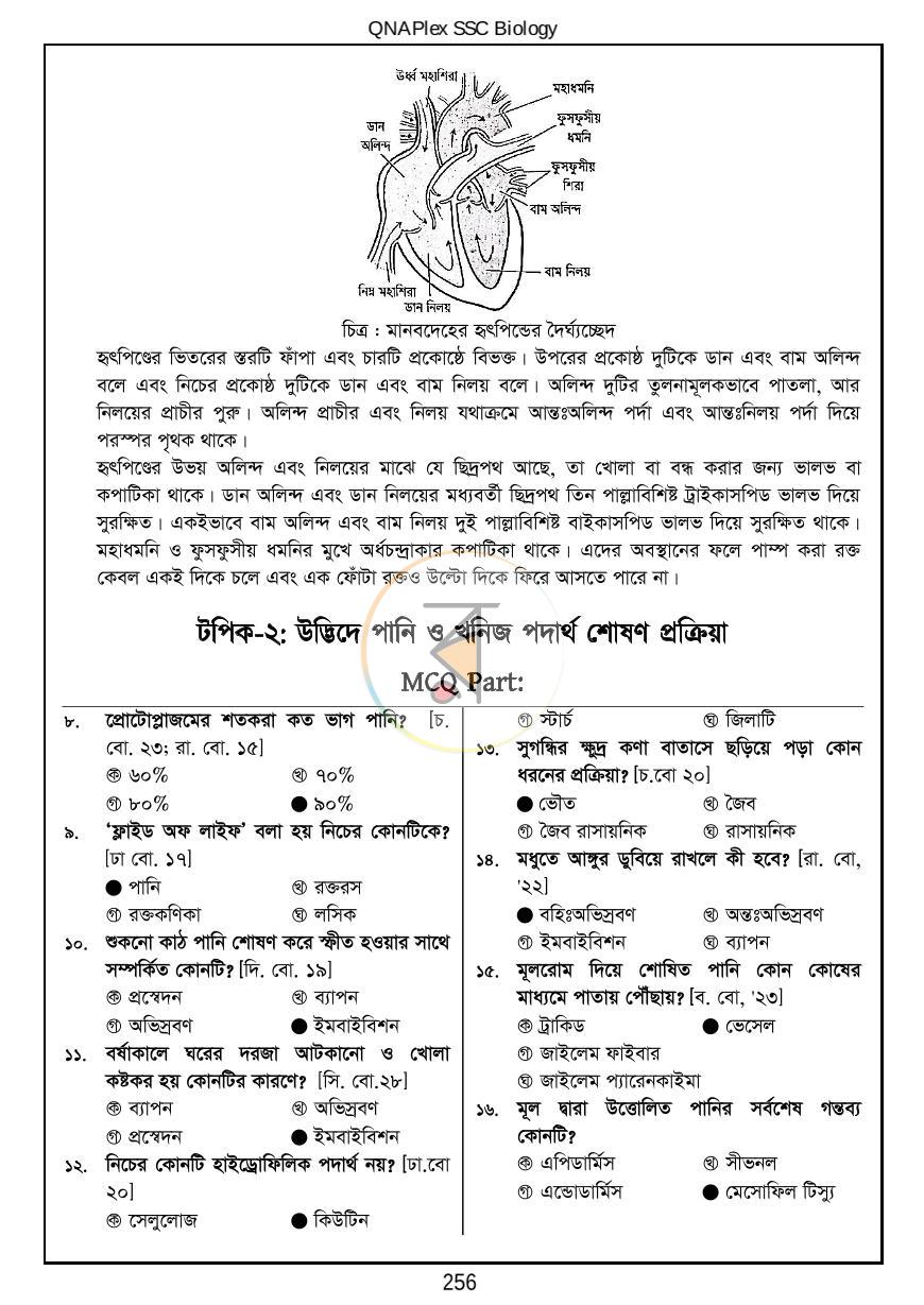 পাতা 27