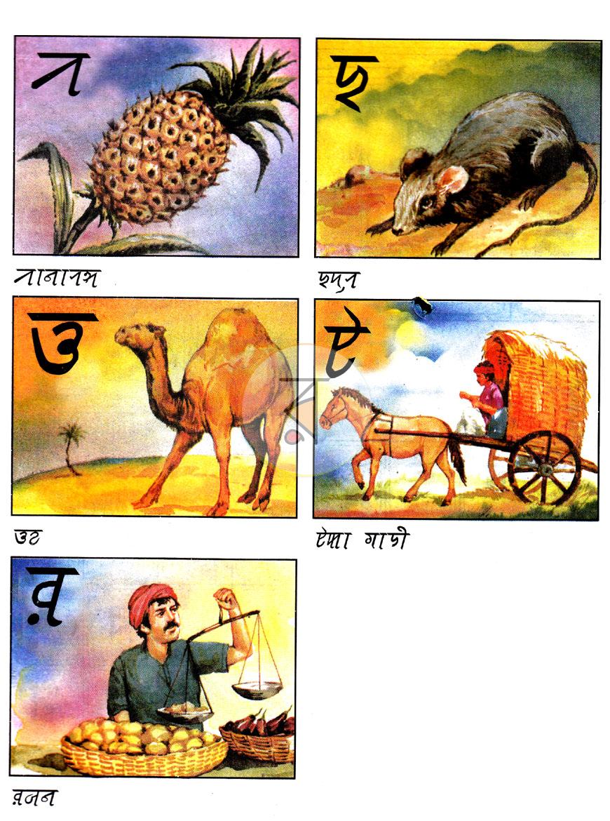 পাতা 4