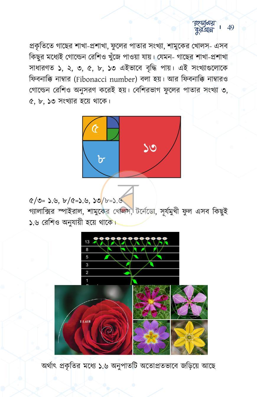 পাতা 10