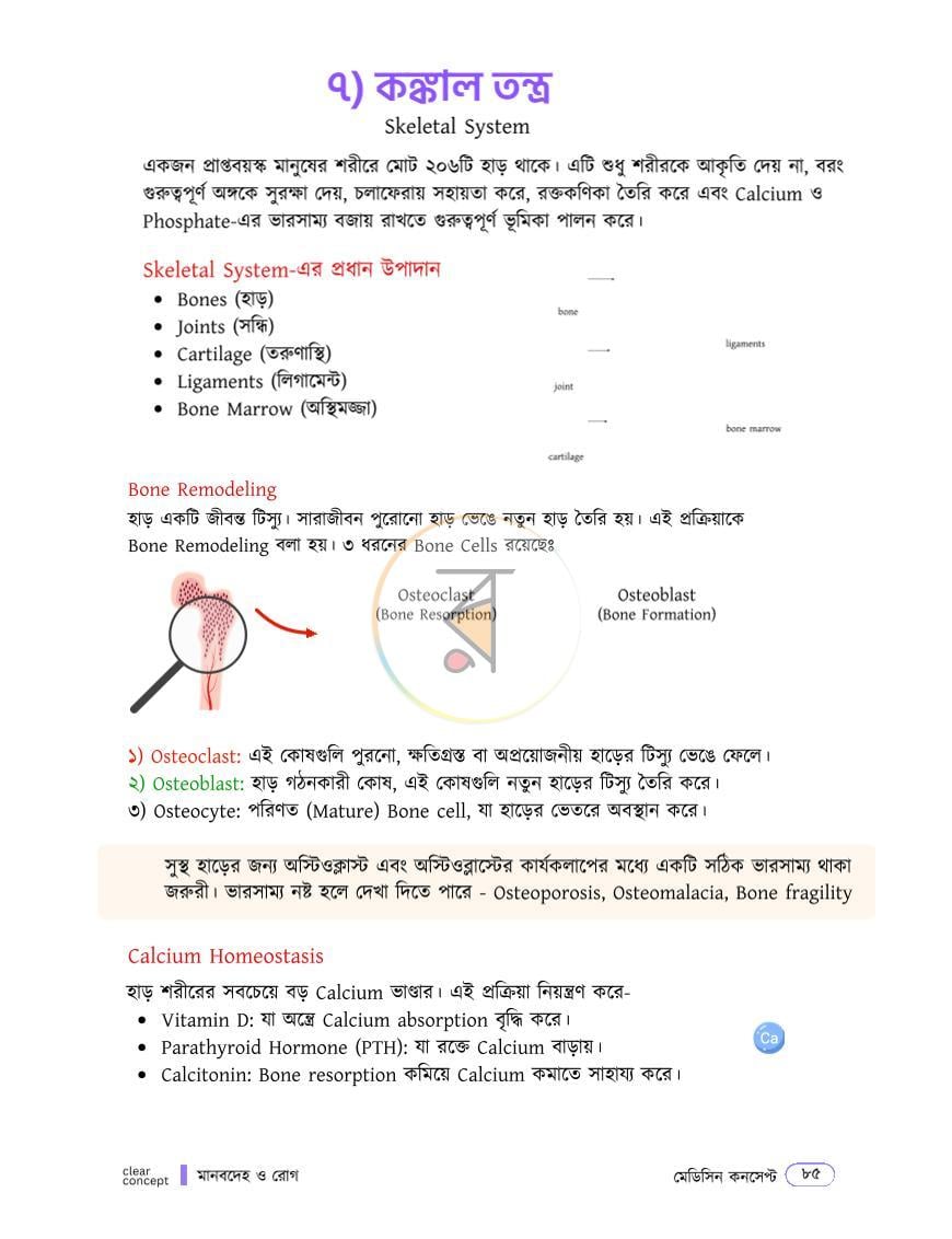 পাতা 8