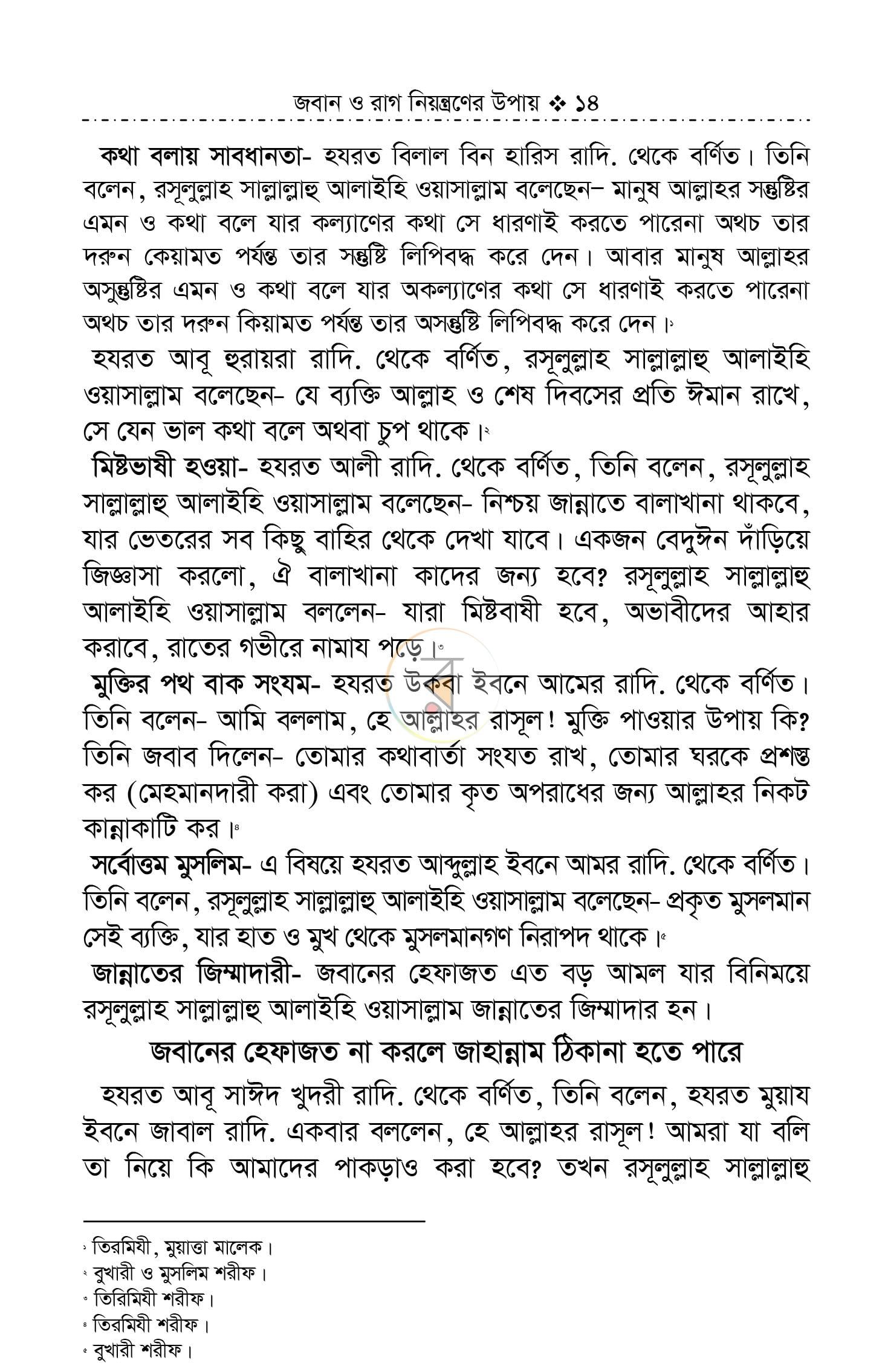 পাতা 13