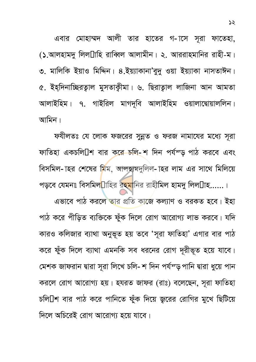 পাতা 11