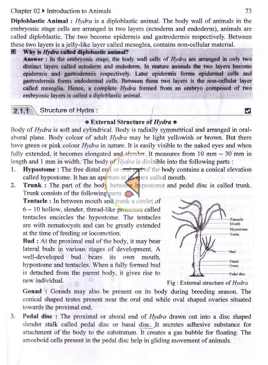 পাতা 10