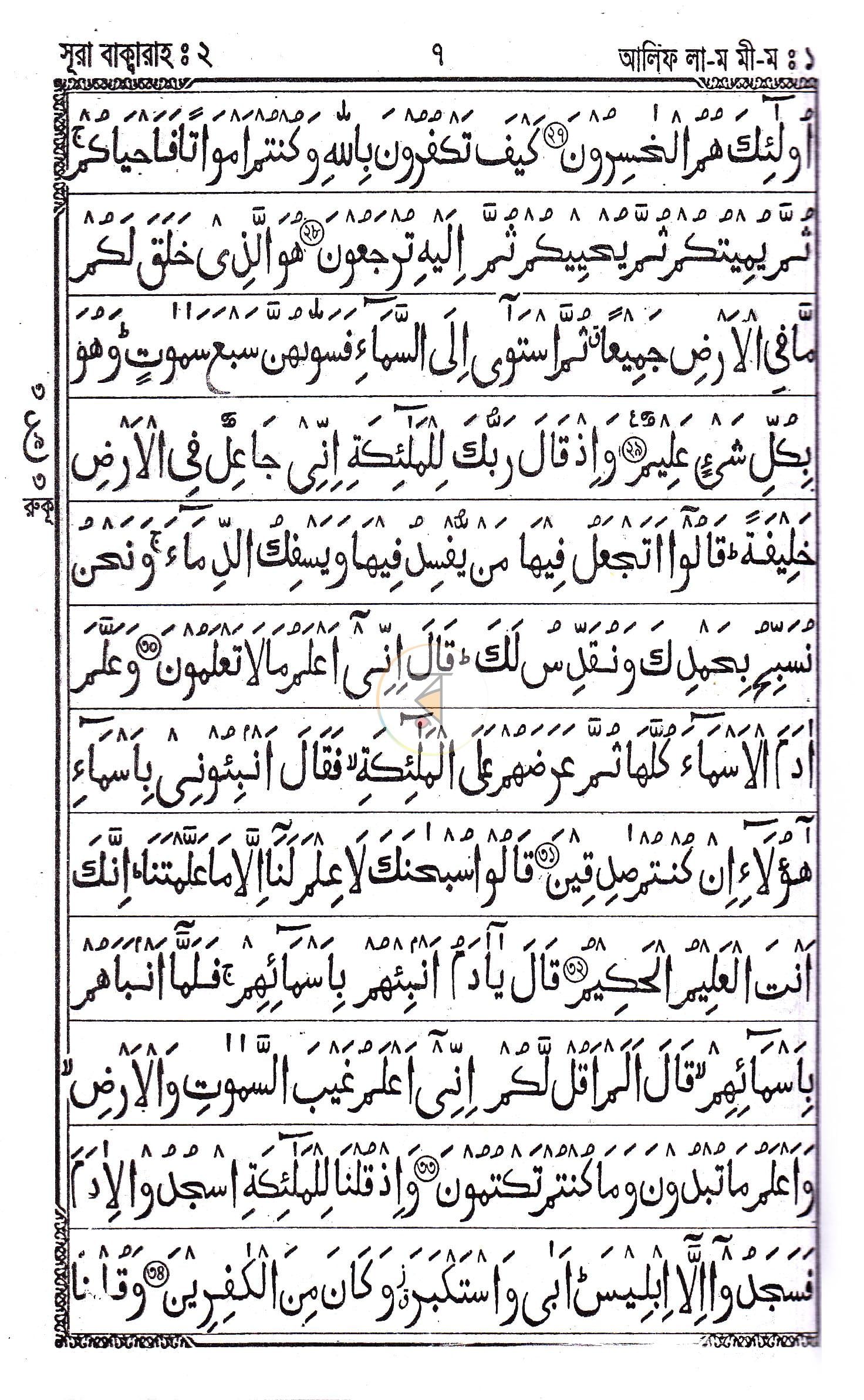 পাতা 7