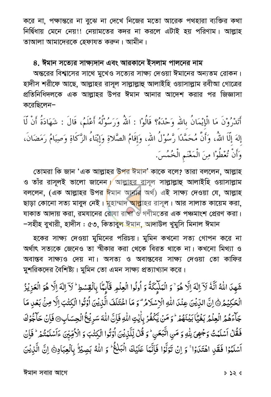 পাতা 11