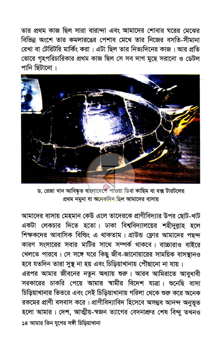 পাতা 9