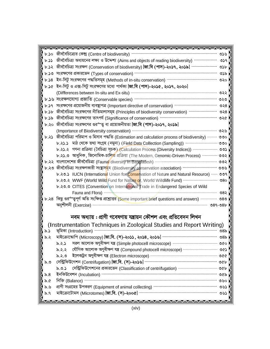 পাতা 13
