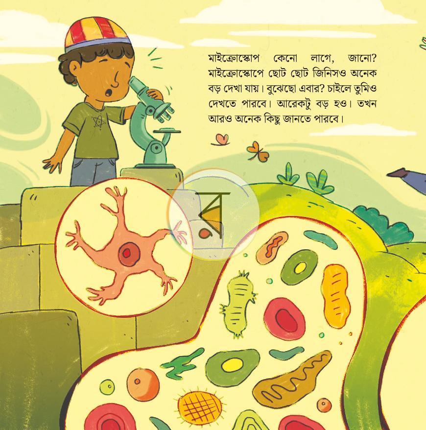 পাতা 9
