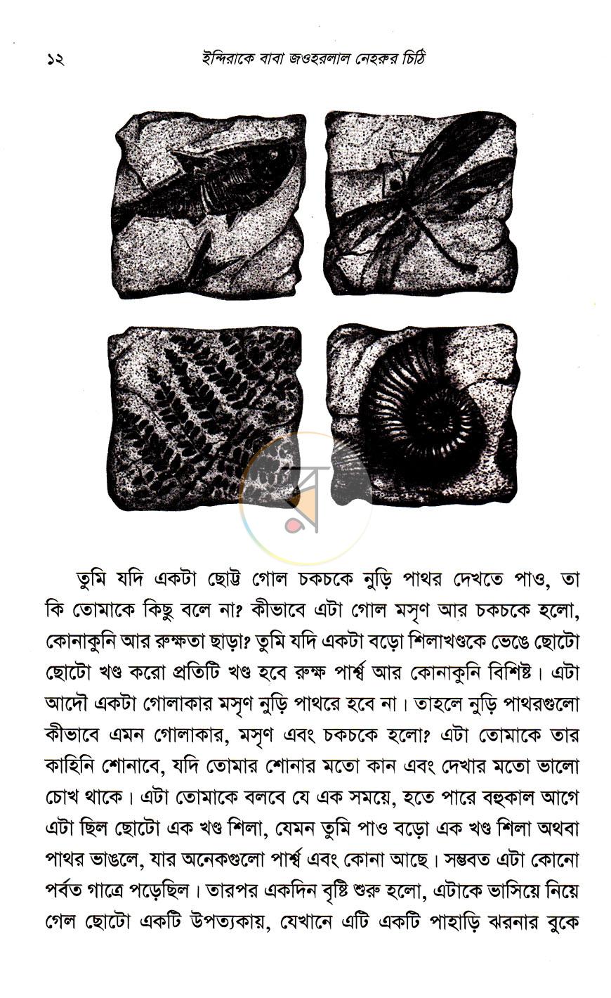 পাতা 9