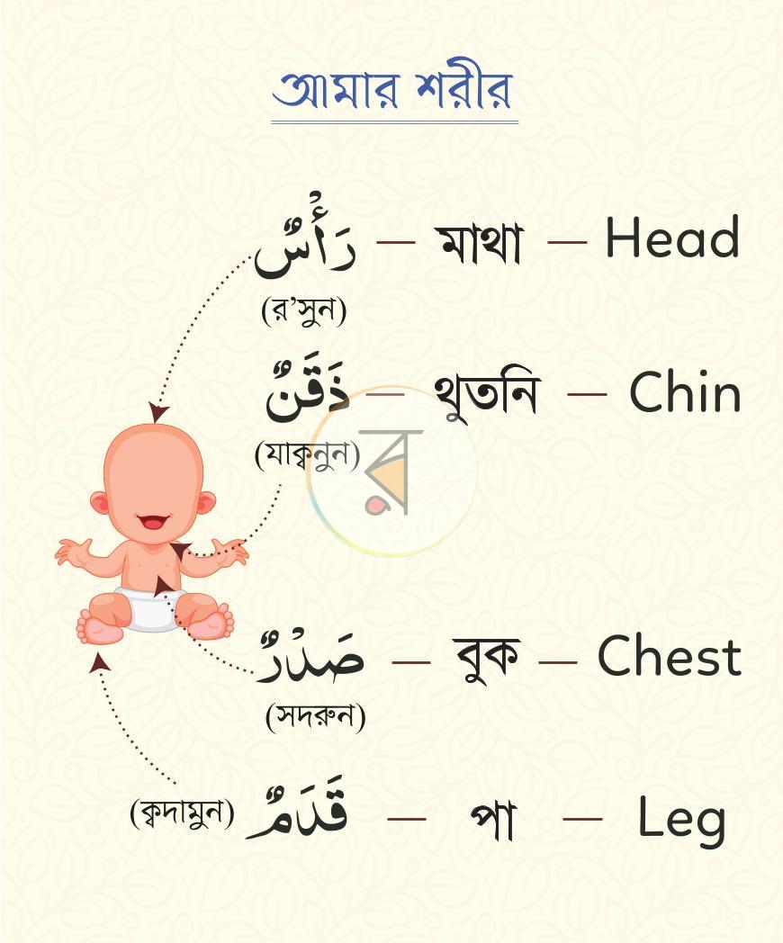 পাতা 5