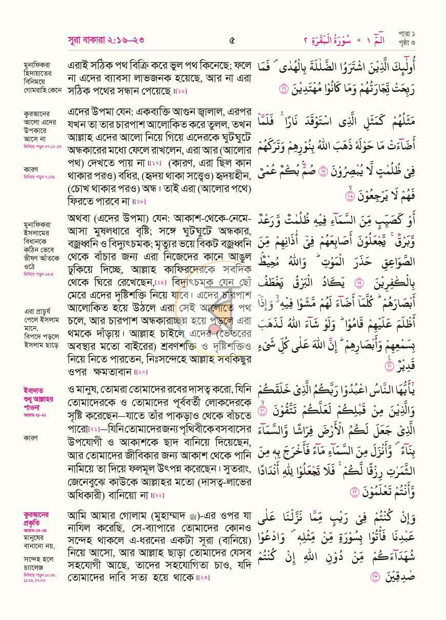 পাতা 8