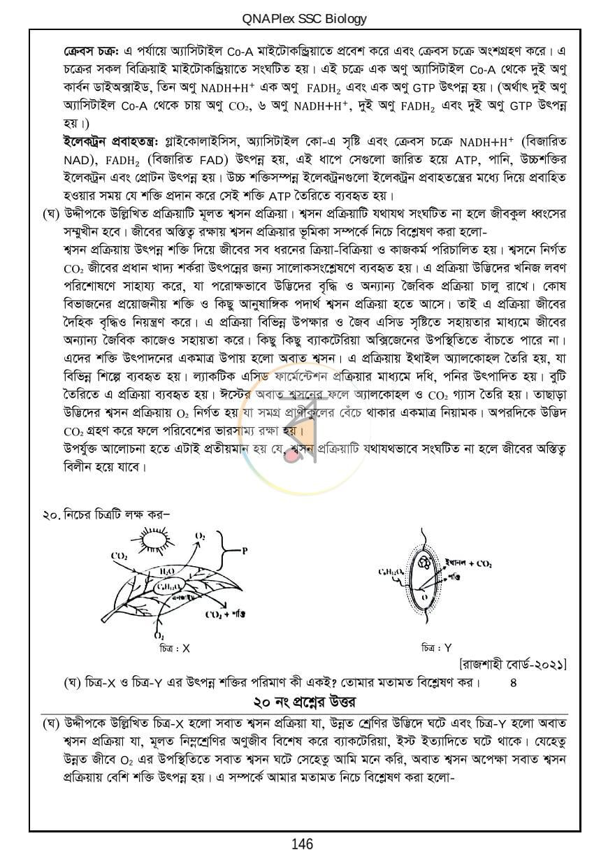পাতা 17