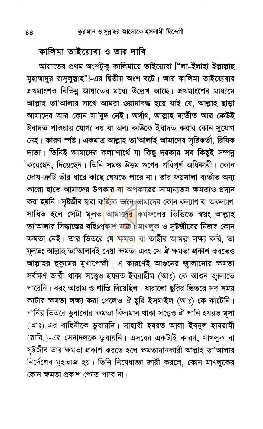 পাতা 13