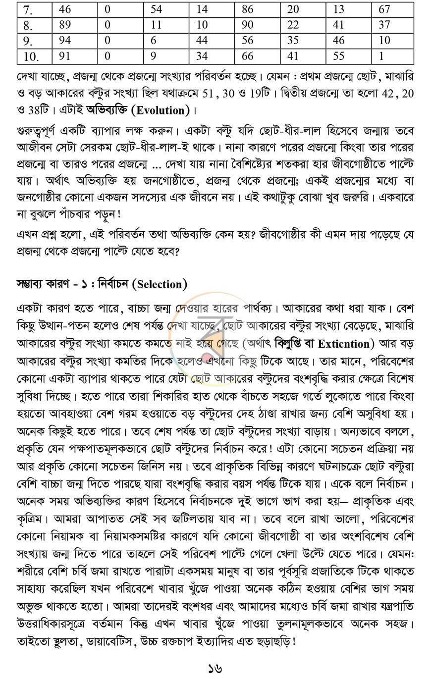 পাতা 11