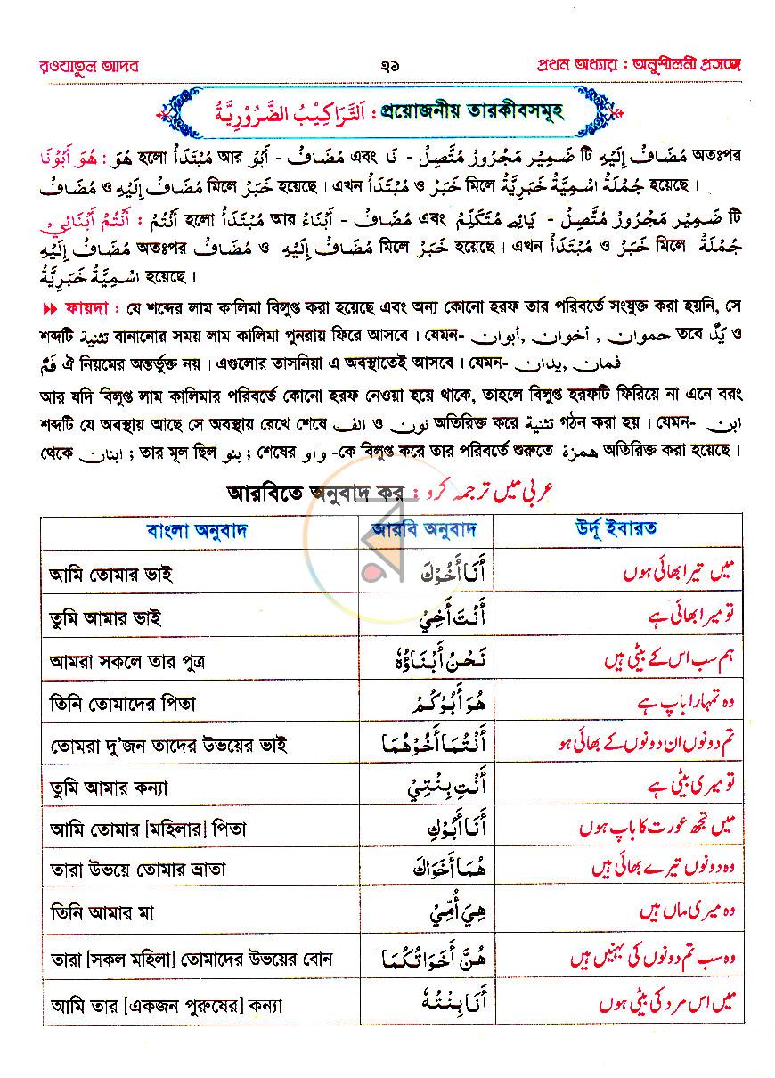 পাতা 13