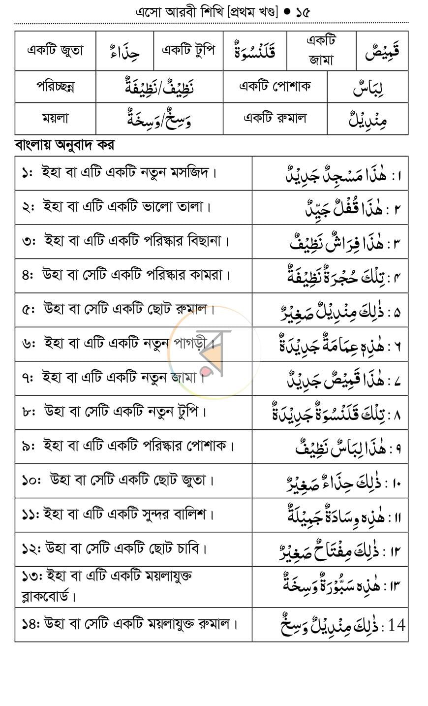 পাতা 13