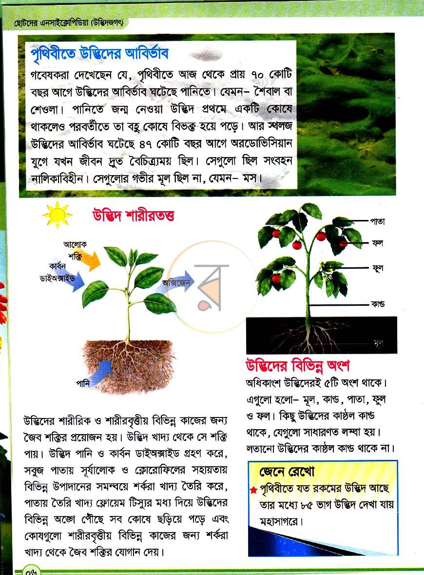 পাতা 5