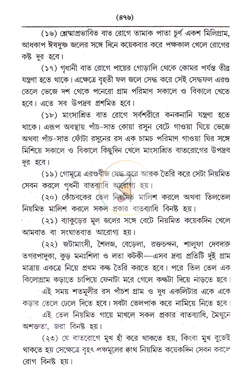 পাতা 13