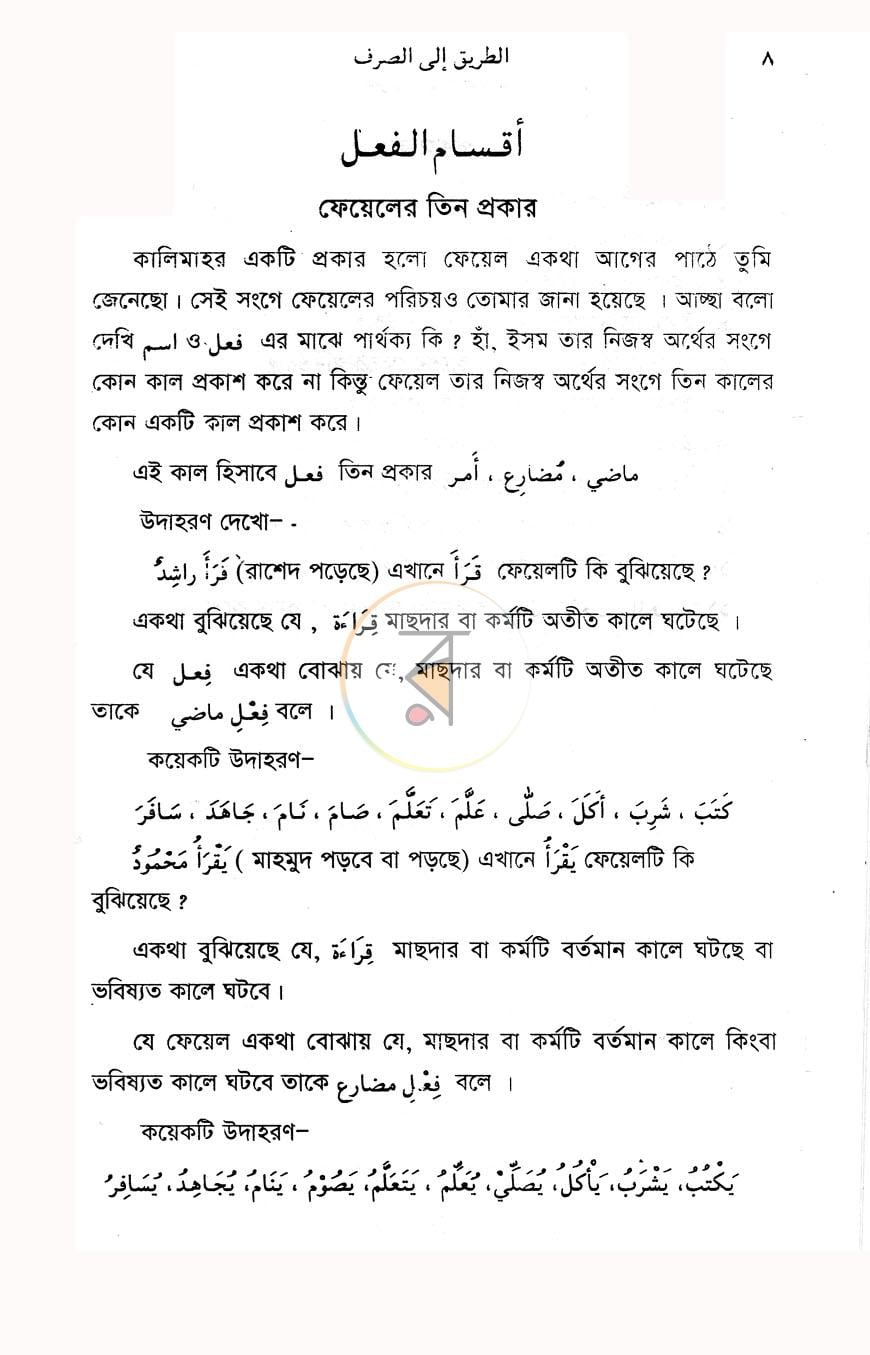 পাতা 8