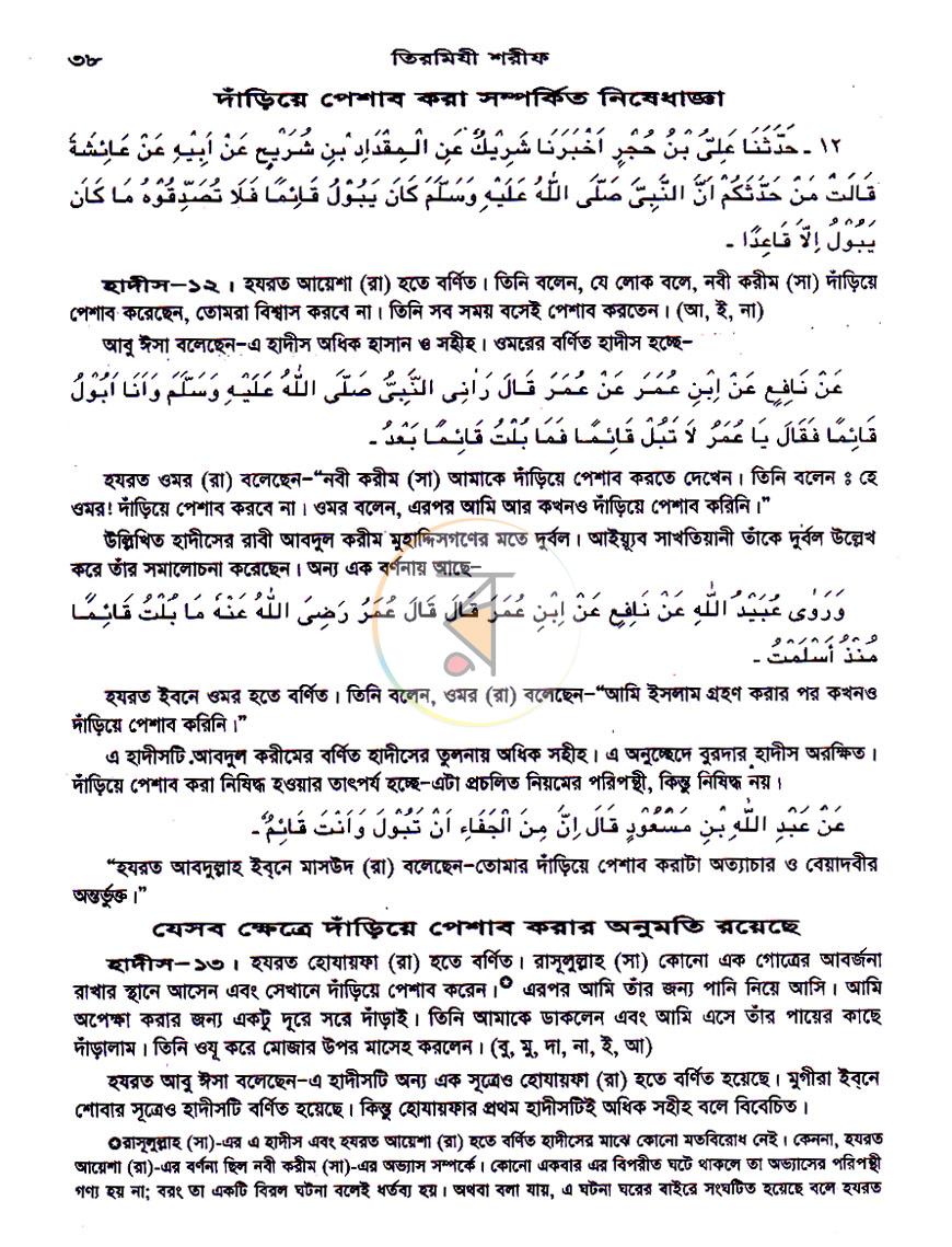 পাতা 13