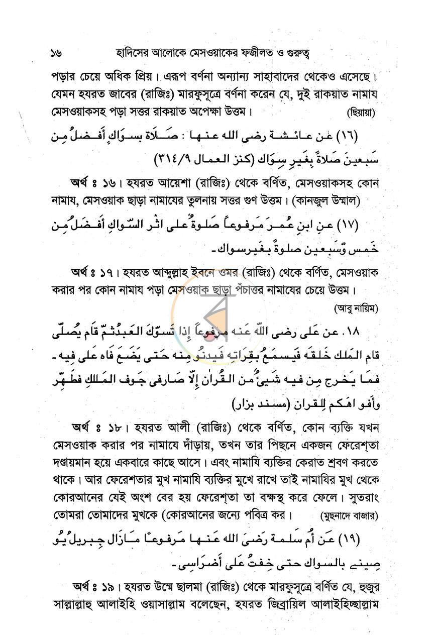 পাতা 10