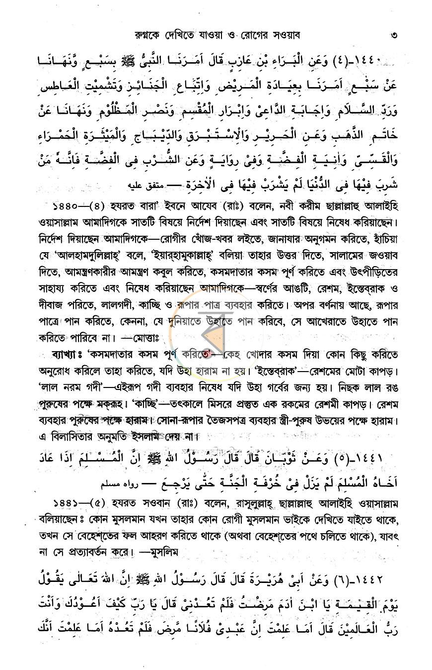 পাতা 6