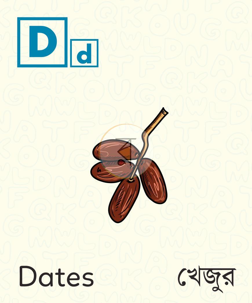 পাতা 4