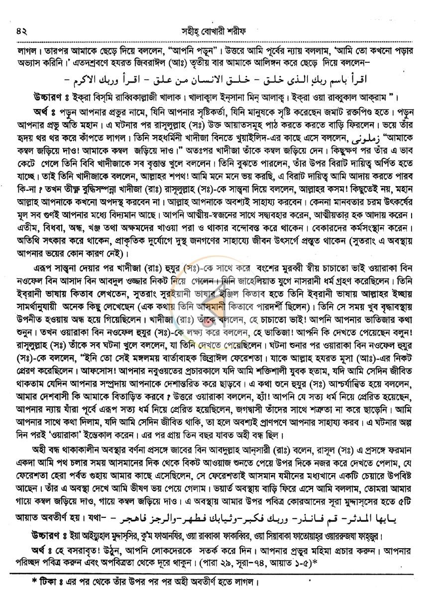 পাতা 8