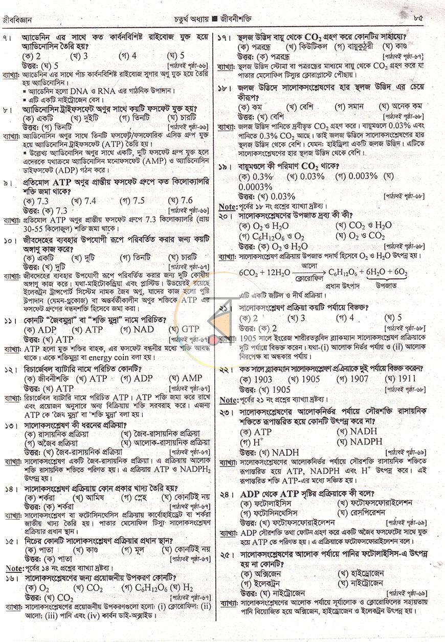 পাতা 11