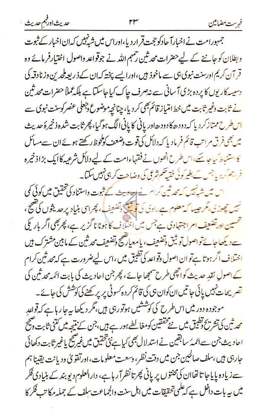 পাতা 11