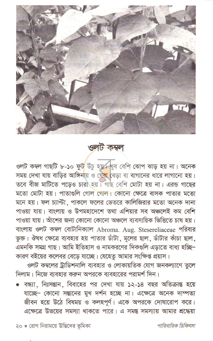 পাতা 11
