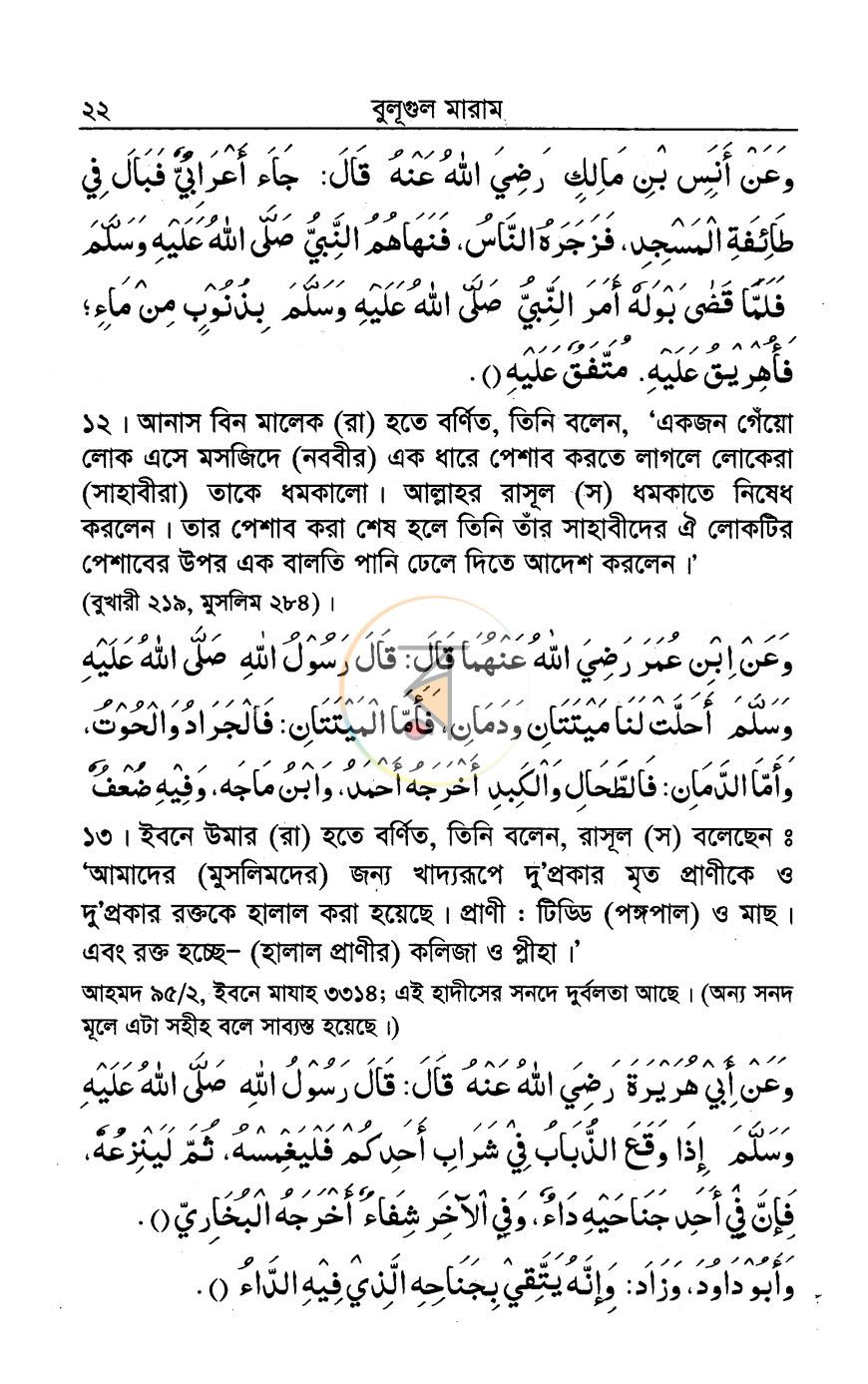 পাতা 15