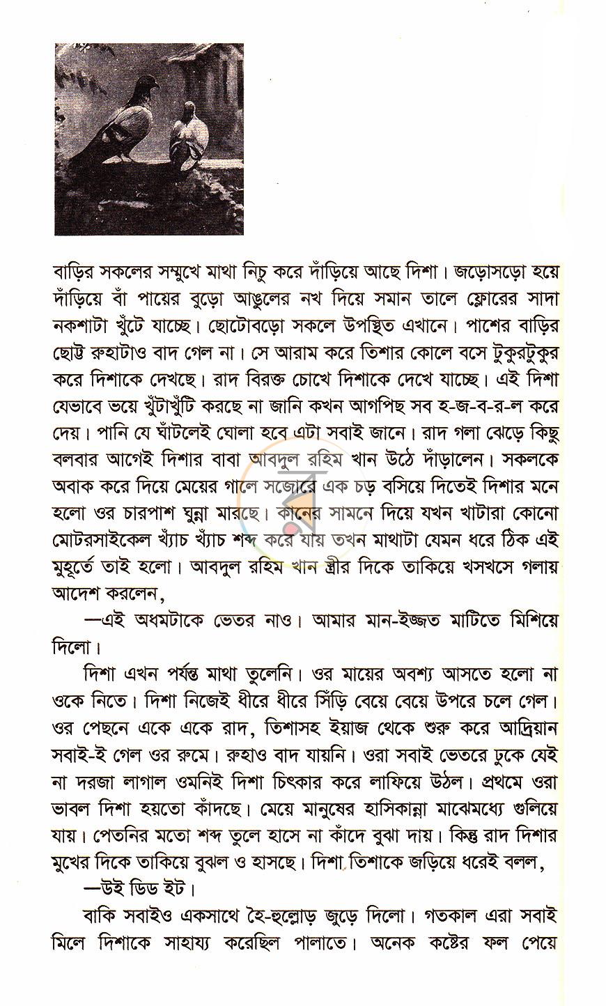 পাতা 12