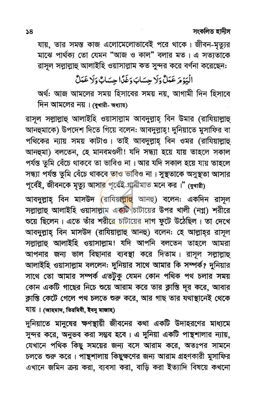 পাতা 8