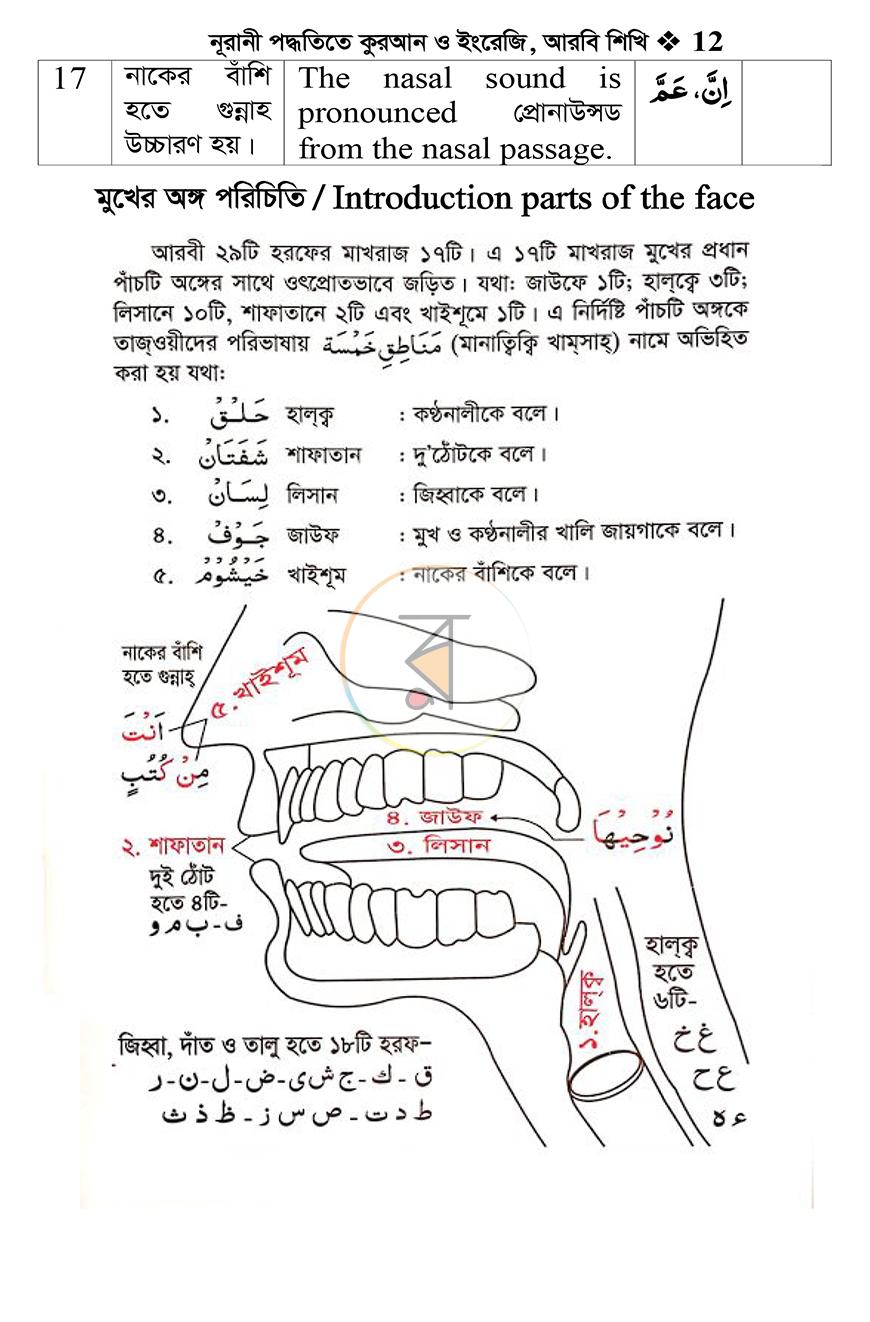 পাতা 10