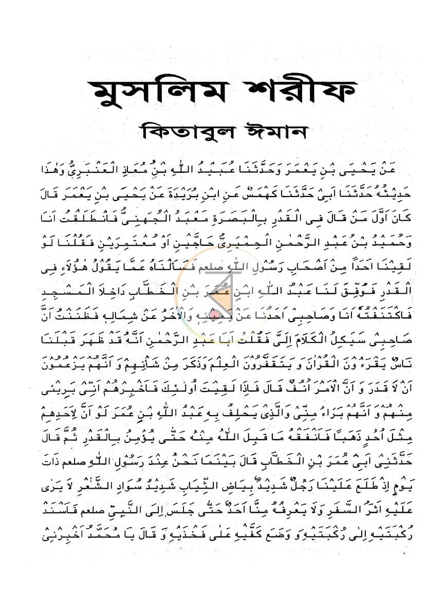 পাতা 9