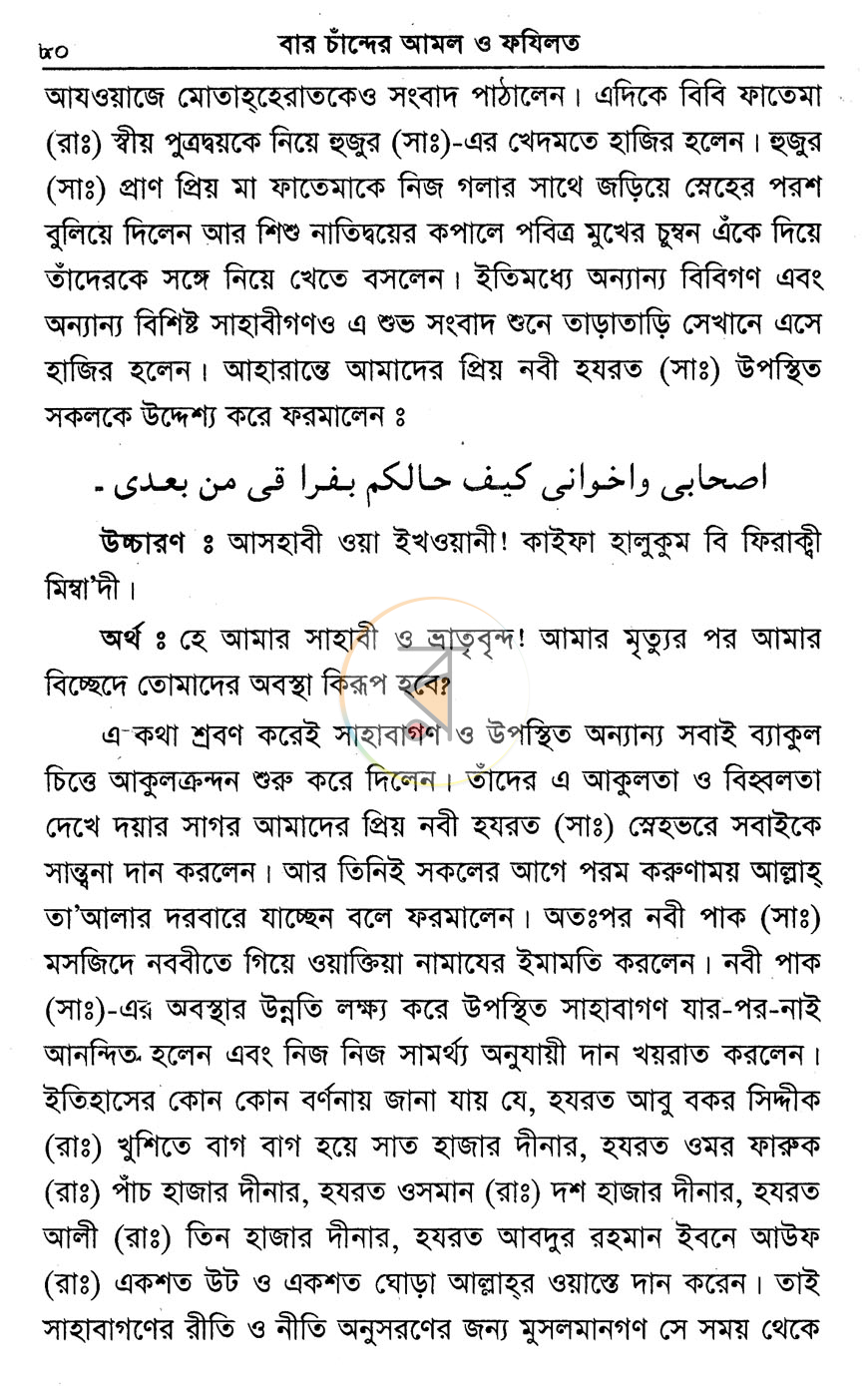 পাতা 13