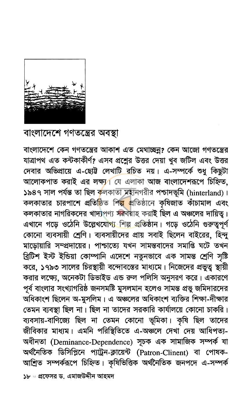 পাতা 11