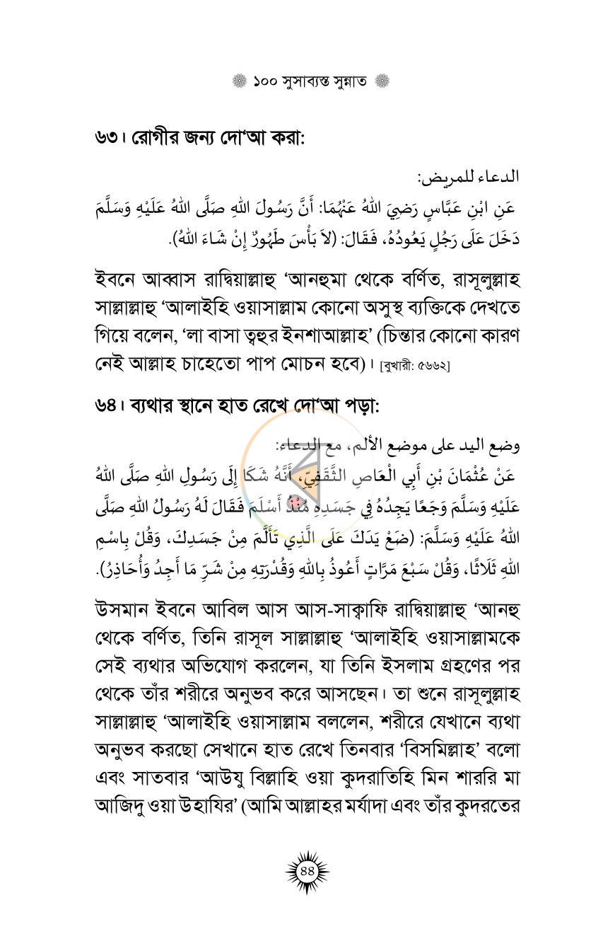 পাতা 13