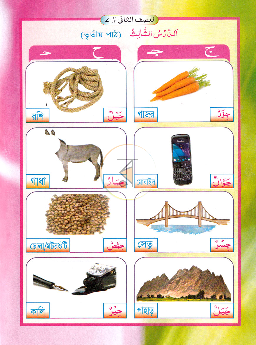 পাতা 6