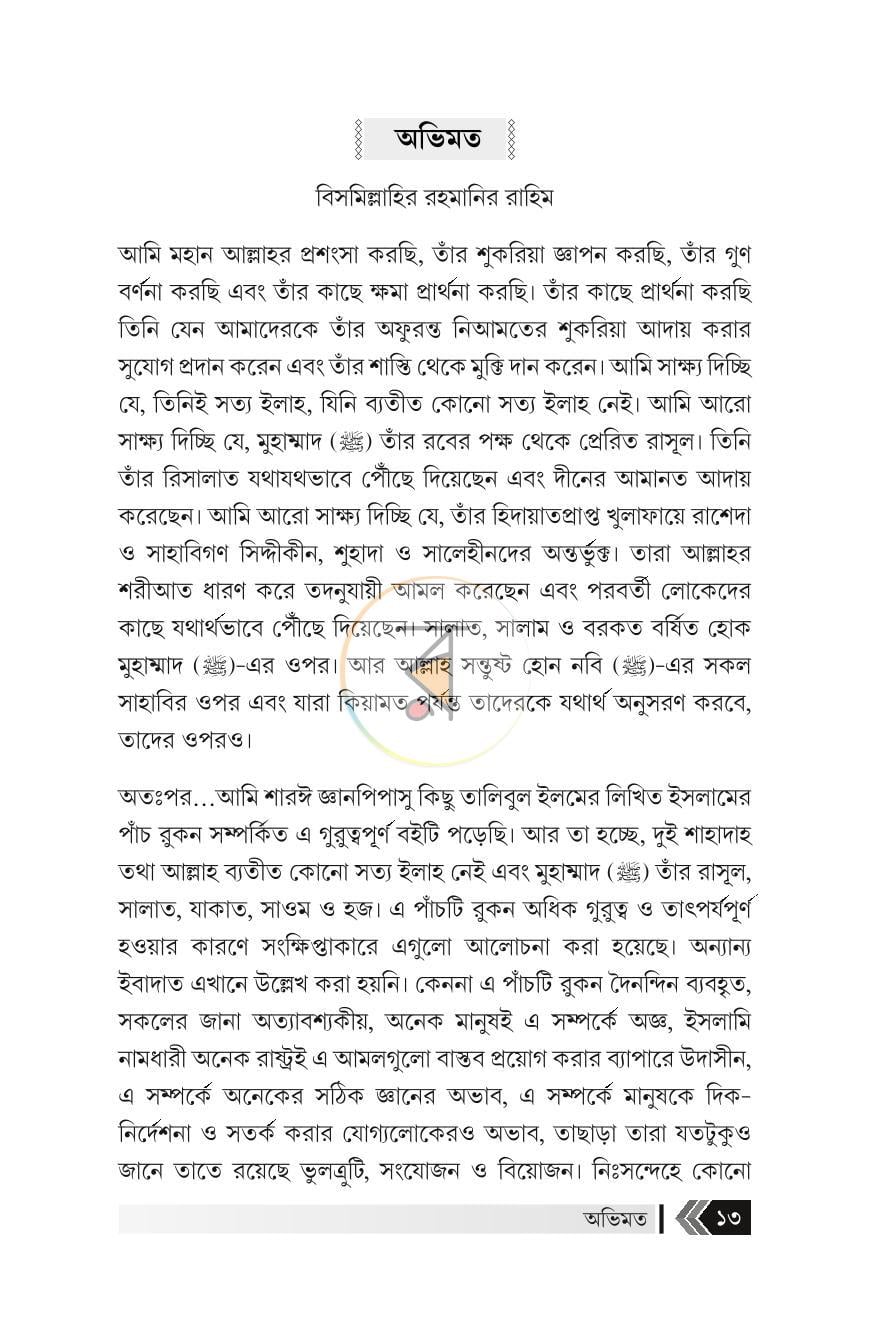 পাতা 13