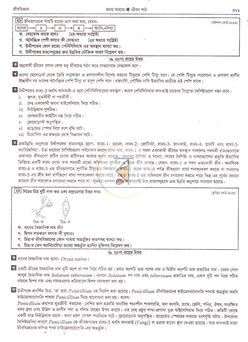 পাতা 21