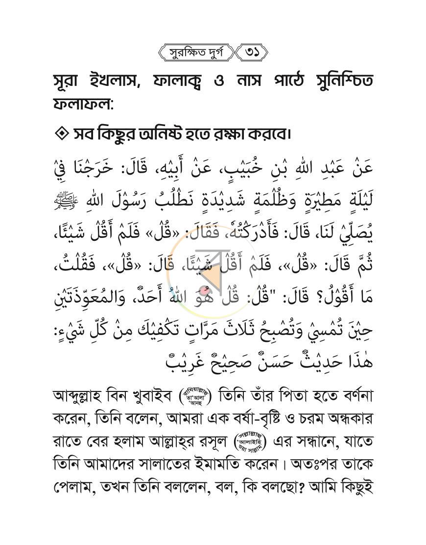 পাতা 29