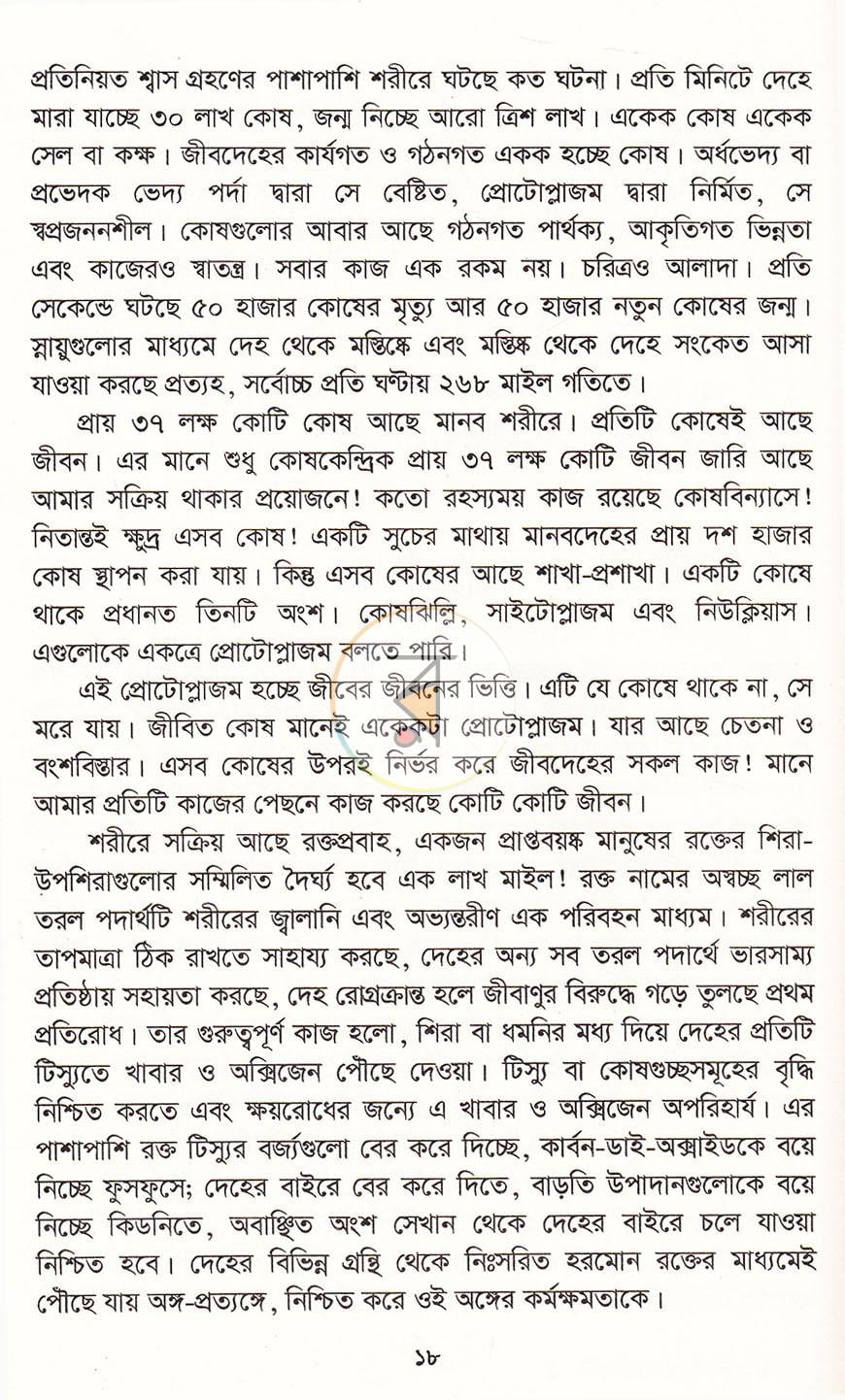 পাতা 11