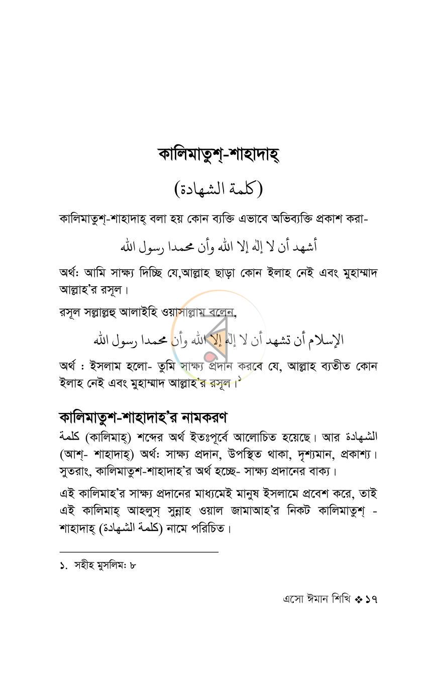 পাতা 17